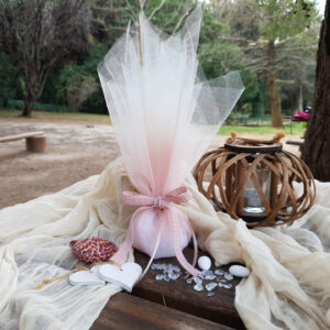 Μπομπονιέρα Γάμου Τούλι Σάπιο Μήλο